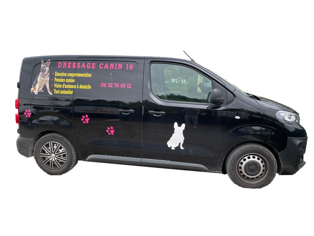 camion-dressage-canin-16-taxi-animalier