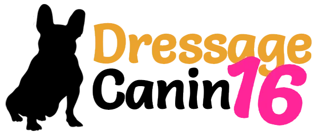 Dressage canin 16 (2)