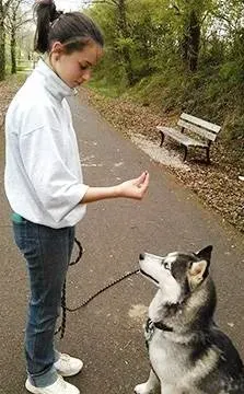 Dressage canin 16 education_ (7)