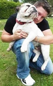 Dressage canin 16 education_ (6)