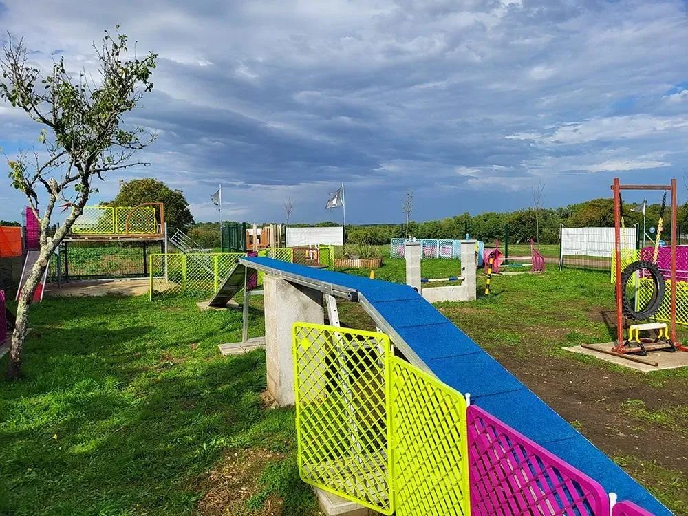 Dressage canin 16 education_ (3)