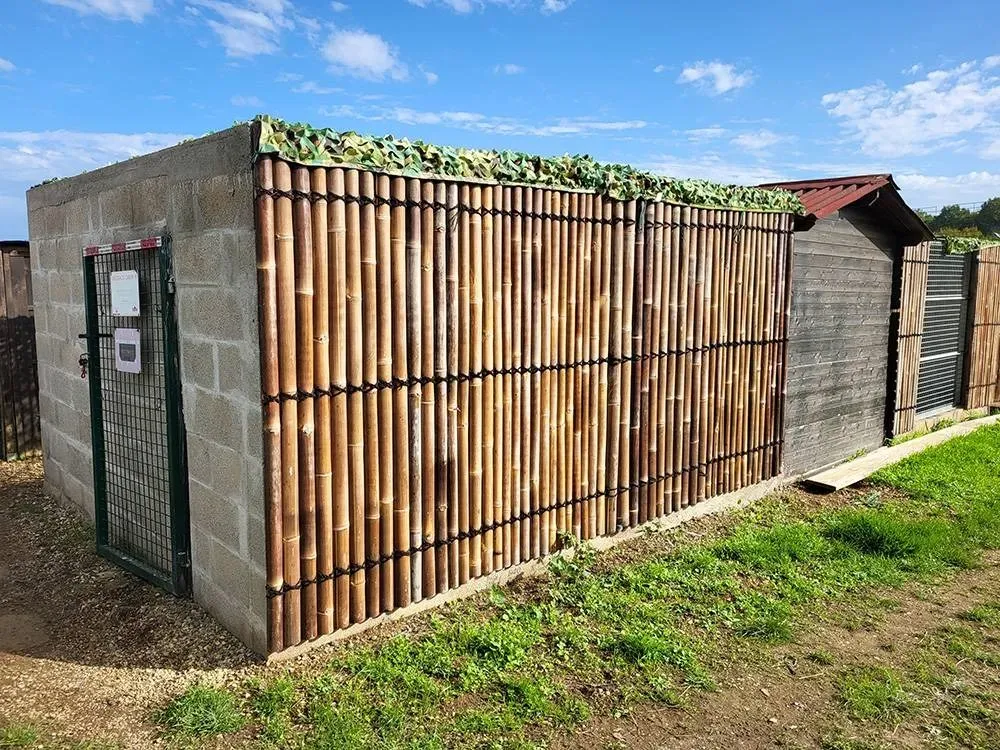 Dressage canin 16 education_ (8)