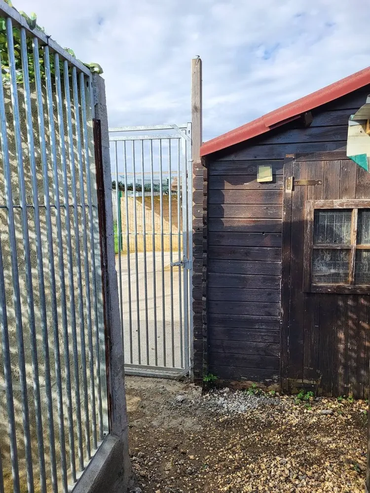 Dressage canin 16 education_ (7)