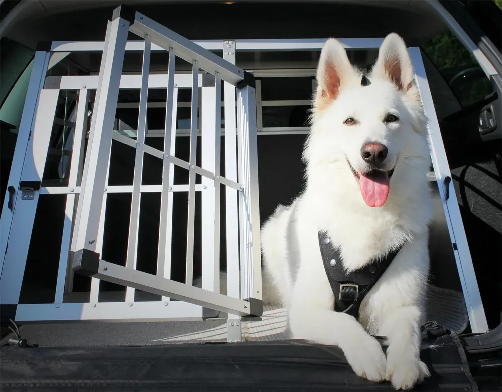 dresseur canin à Pranzac