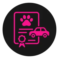 Certifications Dressage Canin 16